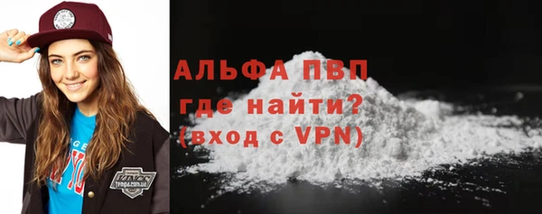 молекула духа Гатчина